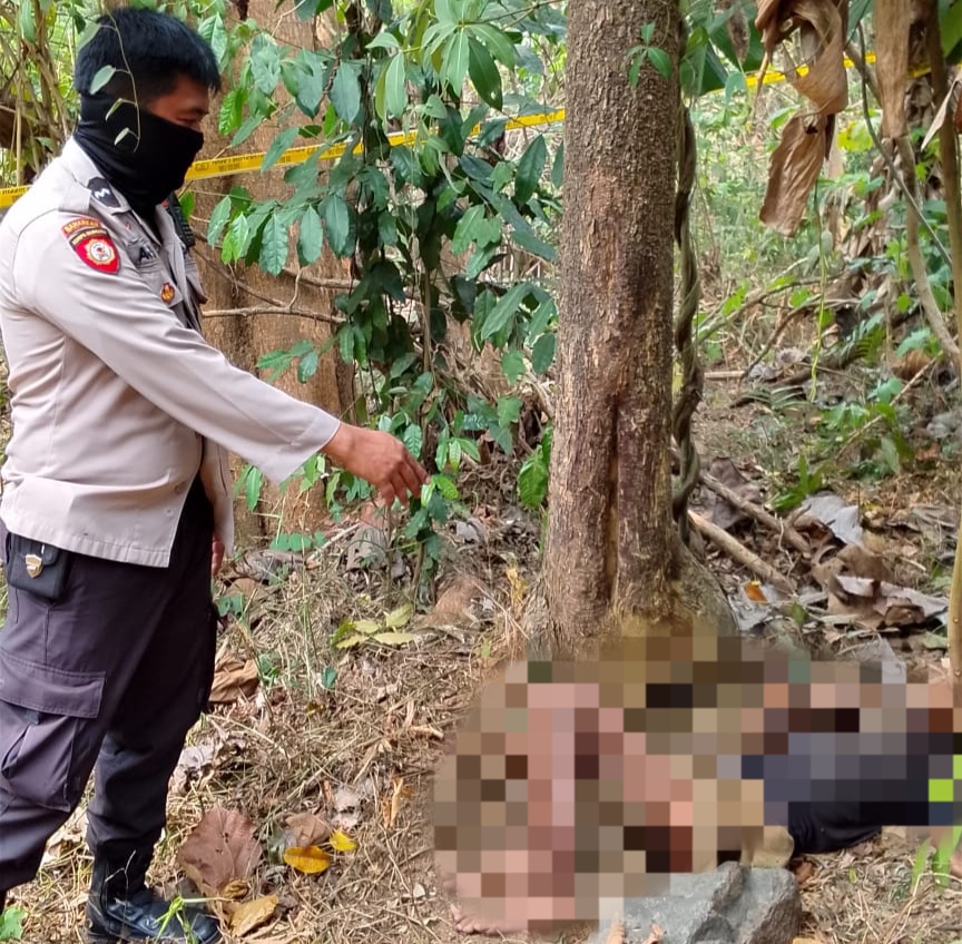 Polisi menangani penemuan mayat pria di kebun Tunjung Teja, Kabupaten Serang.